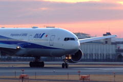 癒しの時✿Boeing777-200