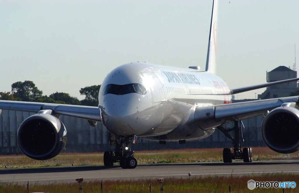 11月の旅路✈A350-900