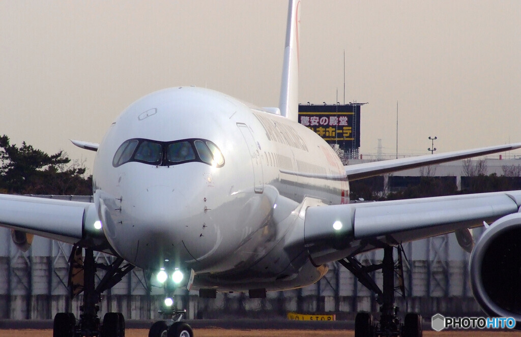 Nice Face✈JA01XJ