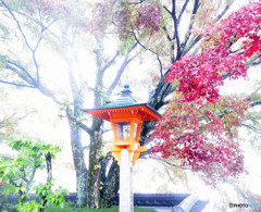 紅葉の時・京都
