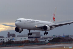 大空散歩✈Boeing 767-300 大空散歩✈Boeing 767-300