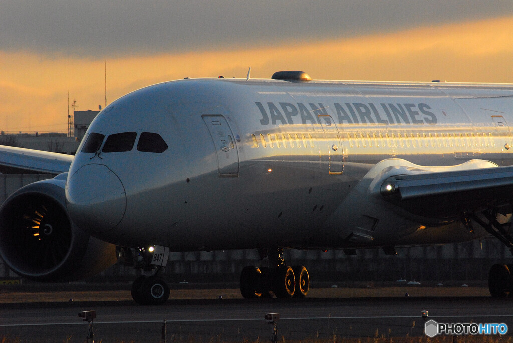 Morning of the 24thⅤ✈Dreamliner 