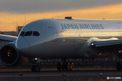 Morning of the 24thⅤ✈Dreamliner 
