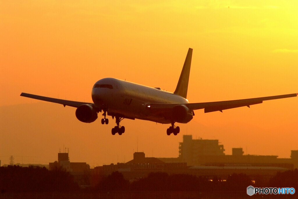 朝焼けの朝✈STAR ALLIANCE