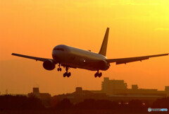 朝焼けの朝✈STAR ALLIANCE