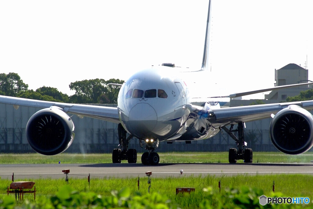 Endless Summer2024✈Boeing 787-8