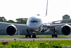 Endless Summer2024✈Boeing 787-8
