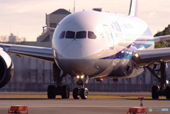 November giftⅢ・787