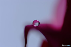 遥かなる夢・雫