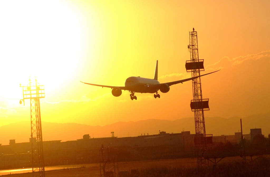 SkyLandの朝✈Boeing787-9
