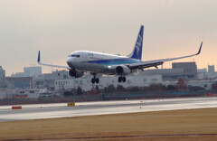Wings of February★Boeing737-800