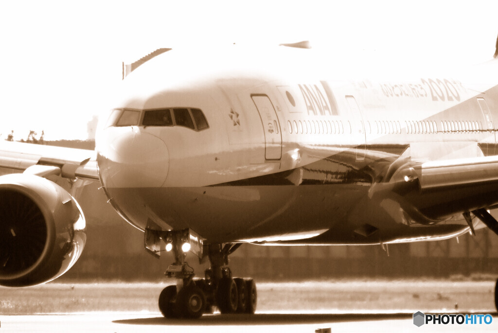 Sepiaの世界へⅡ✈2020