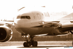 Sepiaの世界へⅡ✈2020