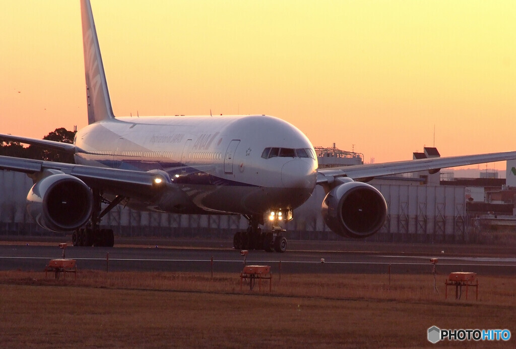 誘惑の空✈777