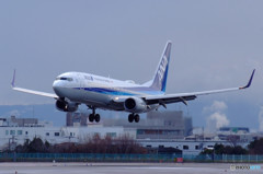 Welcome Osaka・Wing