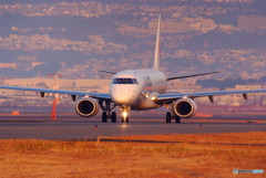 黄金色に包まれて・Embraer
