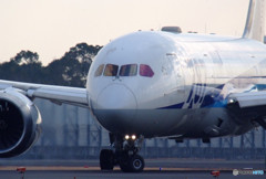 Stately・787