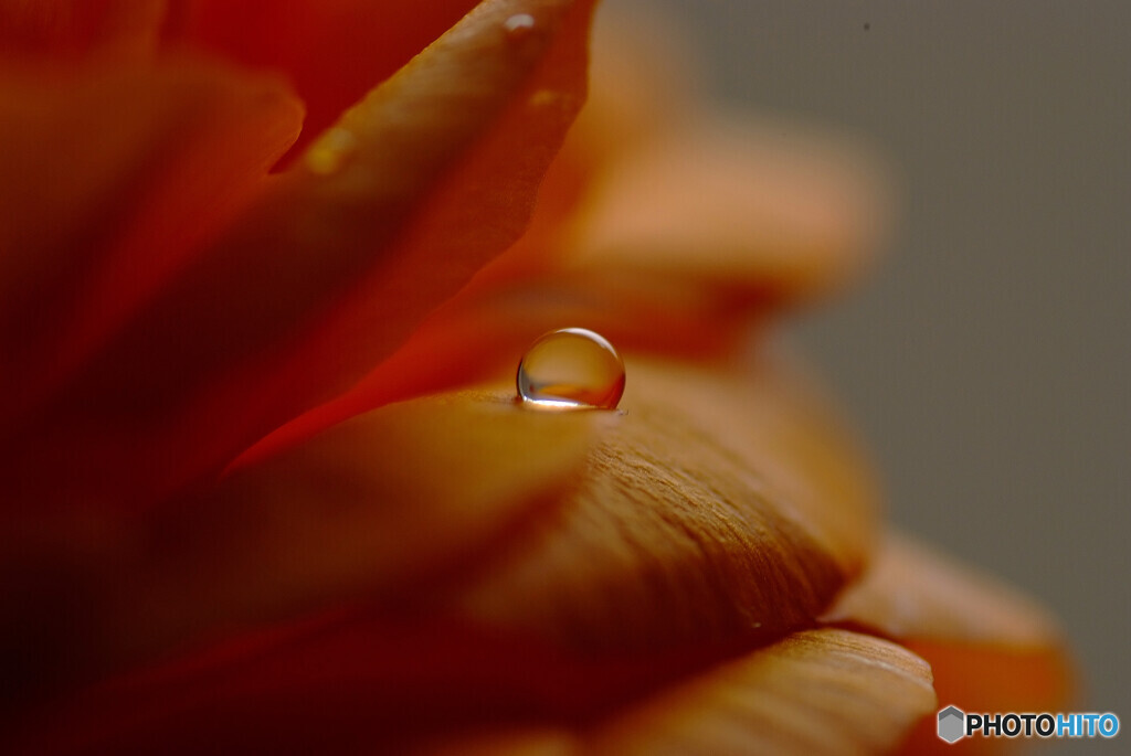 永遠に美しく✿睦月の瞳
