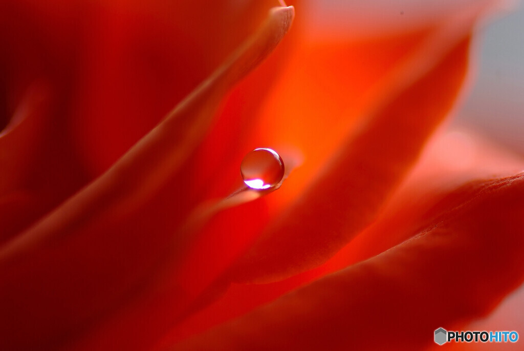 希望の瞳✾皐月