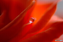 希望の瞳✾皐月