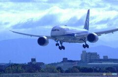 Dreamliner✈俺の翼