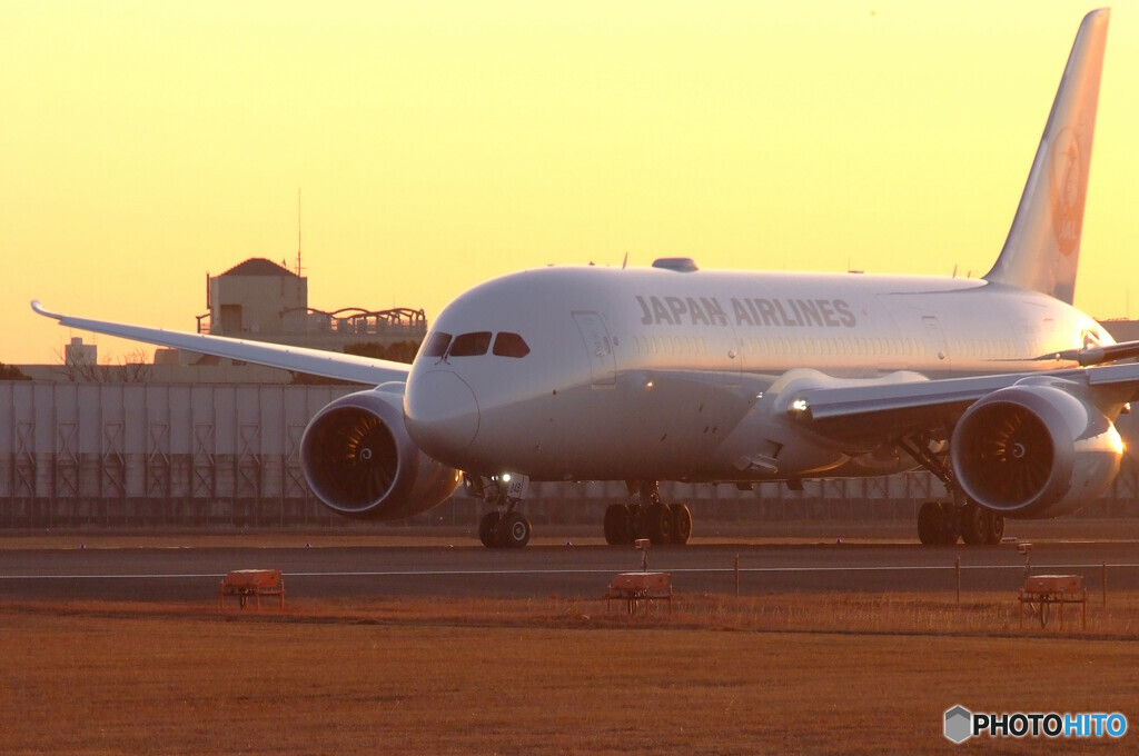 New Face✈JA848J
