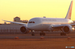 New Face✈JA848J