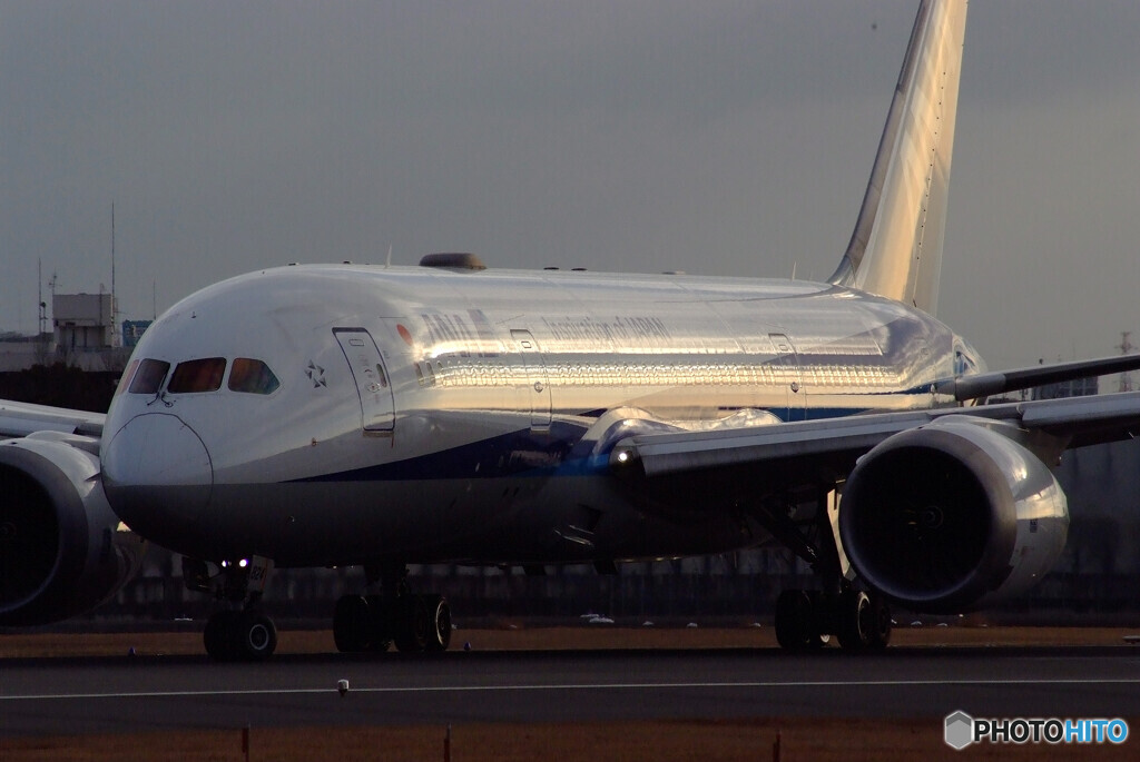閃光★Boeing 787-8