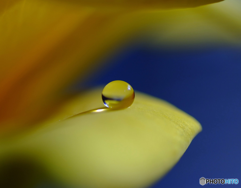 恋する惑星・Ⅲ