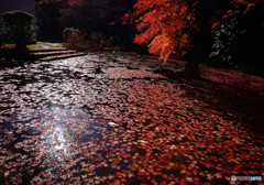 晩秋・紅葉の時