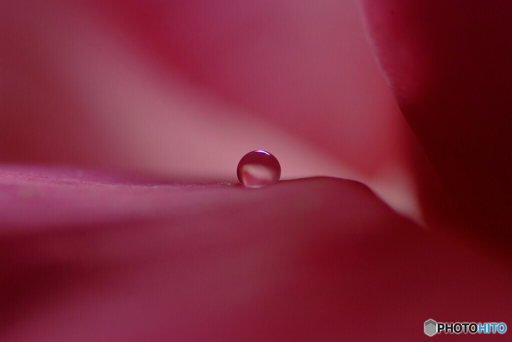 瞳がほほえむから✾想