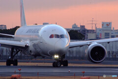 Morning Glow2022✈Dreamliner