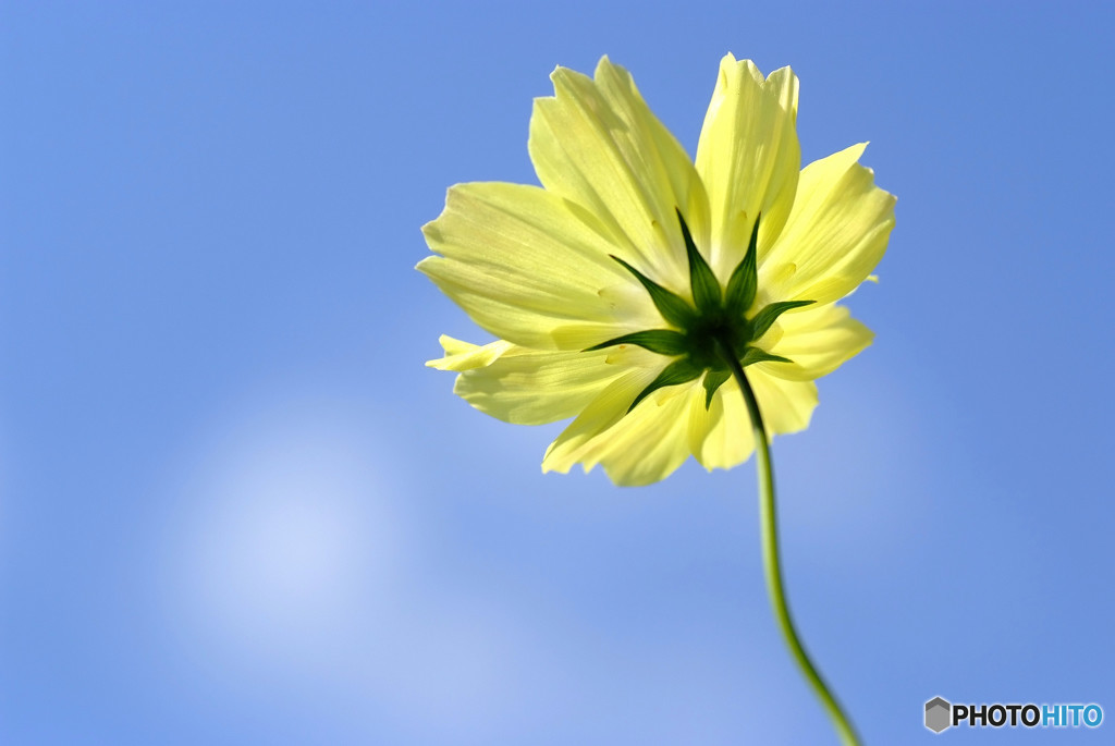 青空スケッチ・2015