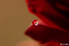 やすらぎの時間・雫