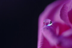 My Life➓✿弥生の雫