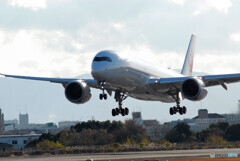 HARADAの空から✈AirBus350-900