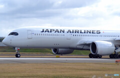 March morningⅨ✈JAPAN AIRLINES