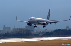 Shining Runway✈ANA Boeing