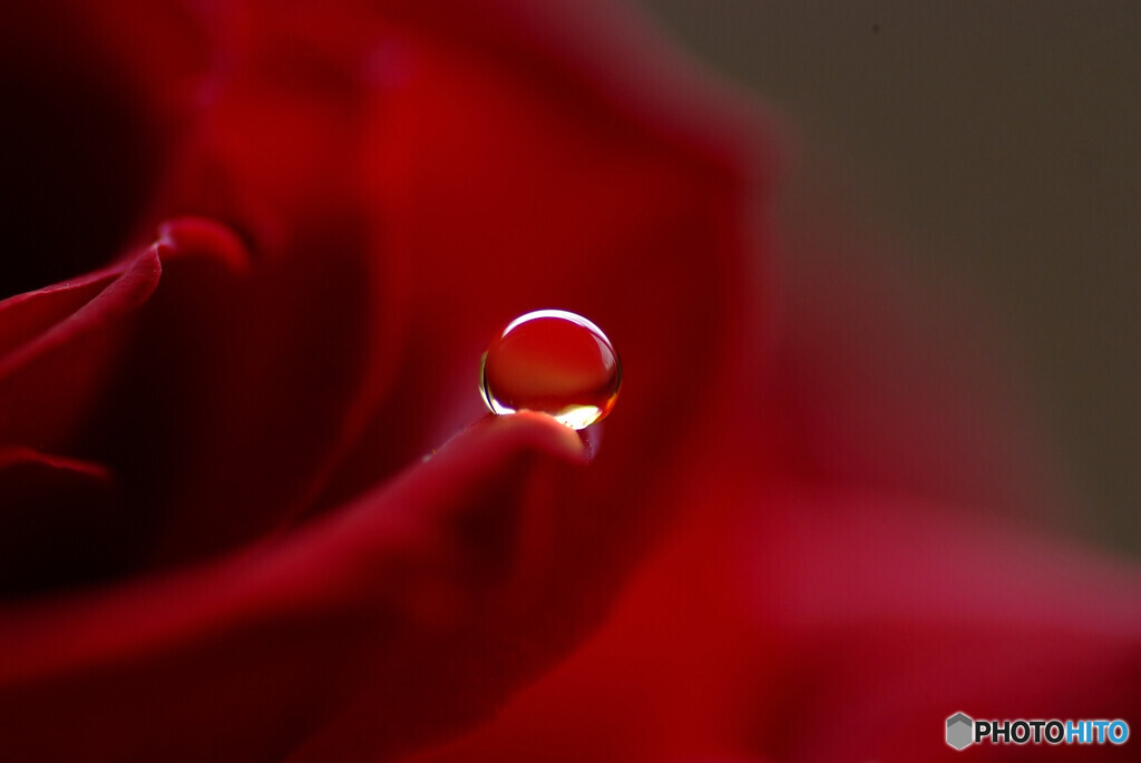 Delivered to you・祈り