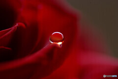 Delivered to you・祈り