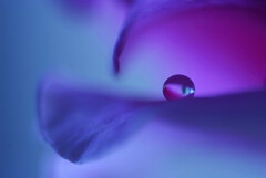☂を楽しむ✿雫