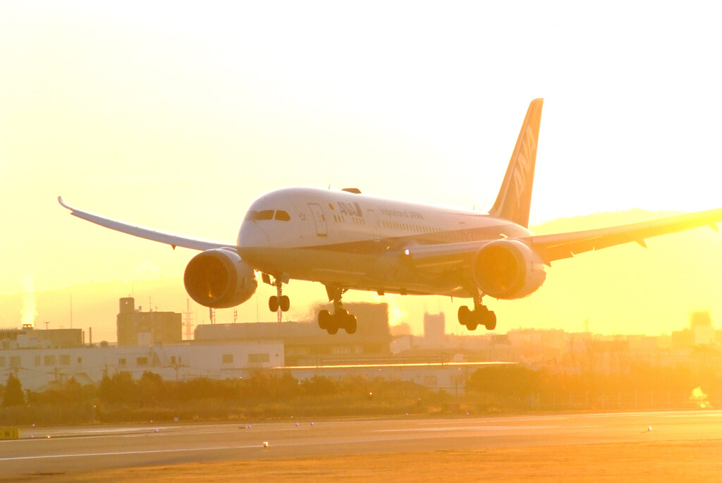 極月の朝焼け✈Boeing 787-8 Dreamliner