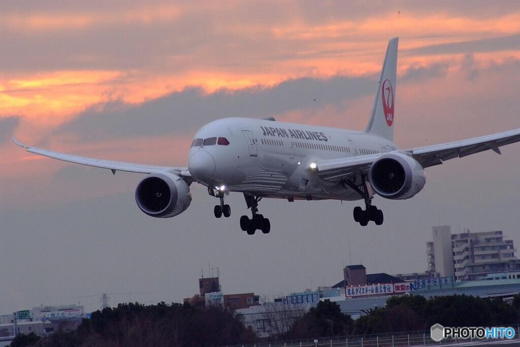 Fly High✈787-8 Dreamliner