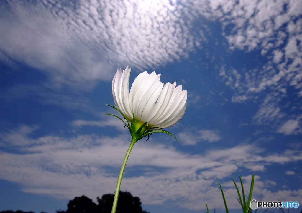秋を感じて・2016