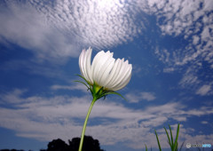 秋を感じて・2016