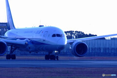 蒼が行く✈Dreamliner