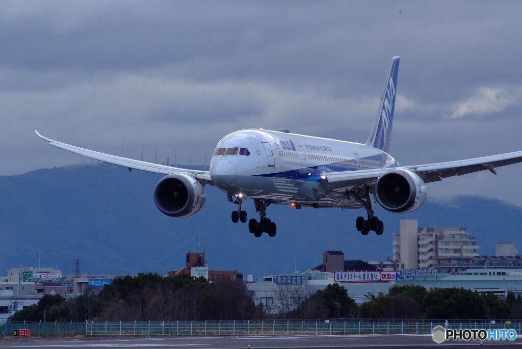 MORNINGSTAR☆ANA 787