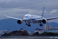 MORNINGSTAR☆ANA 787