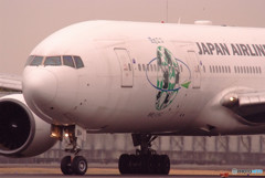 Cherry Color・SKY ECO 