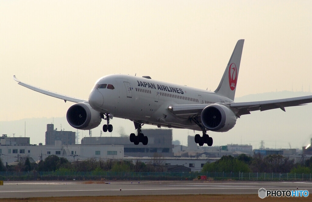 4月の翼✈JAL Boeing787-8